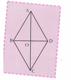 CBSE Class 9 Maths Lab Manual – Comparison of Diagonals in Different Quadrilaterals 5